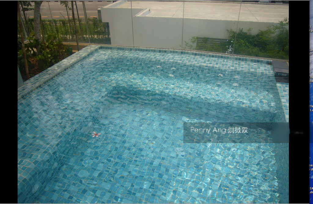 The Riverine By The Park (D12), Apartment #142712662
